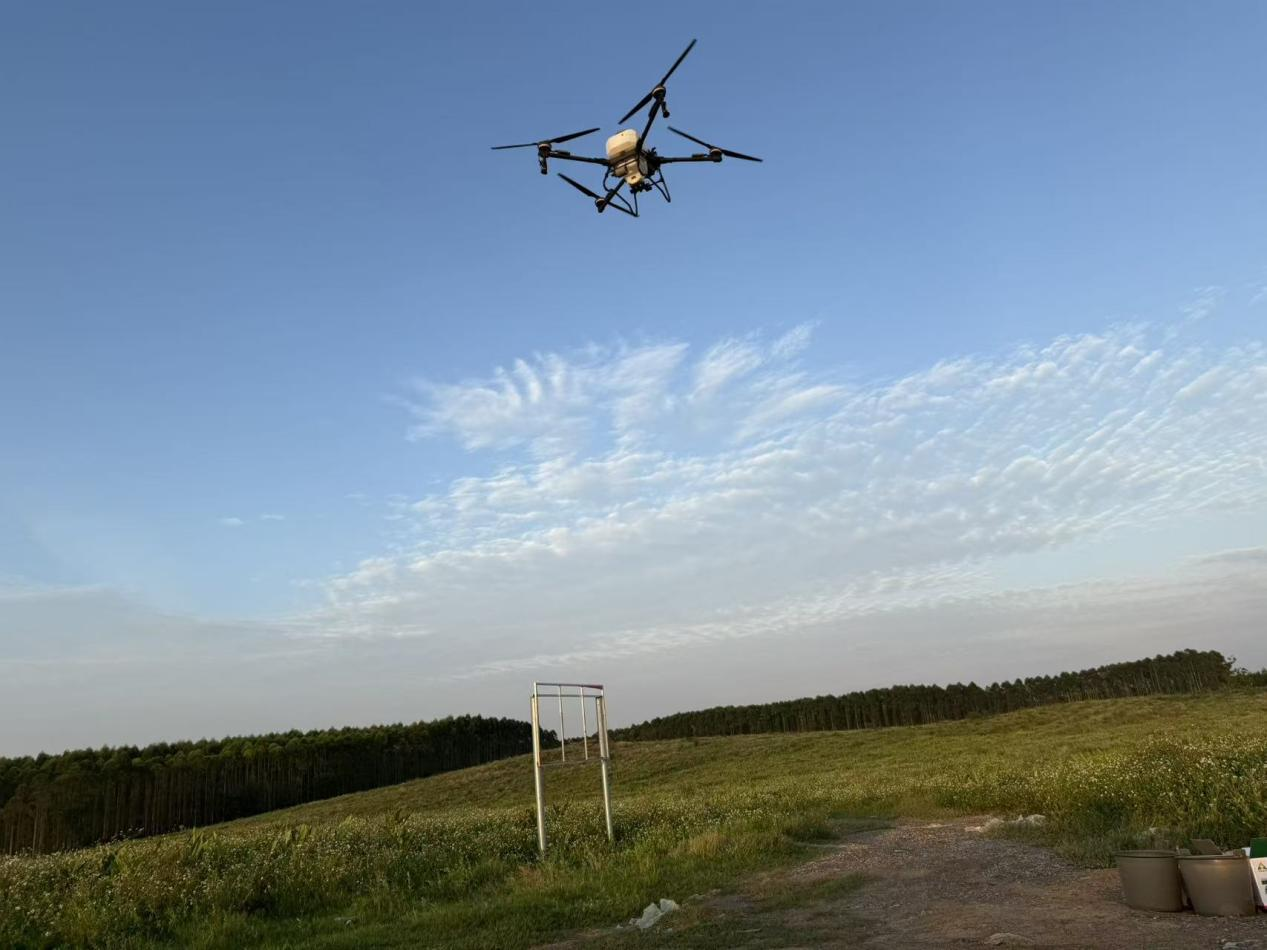 南宁林业发展集团：无人机技术赋能智慧林业，中药材种植提质增效再添新引擎