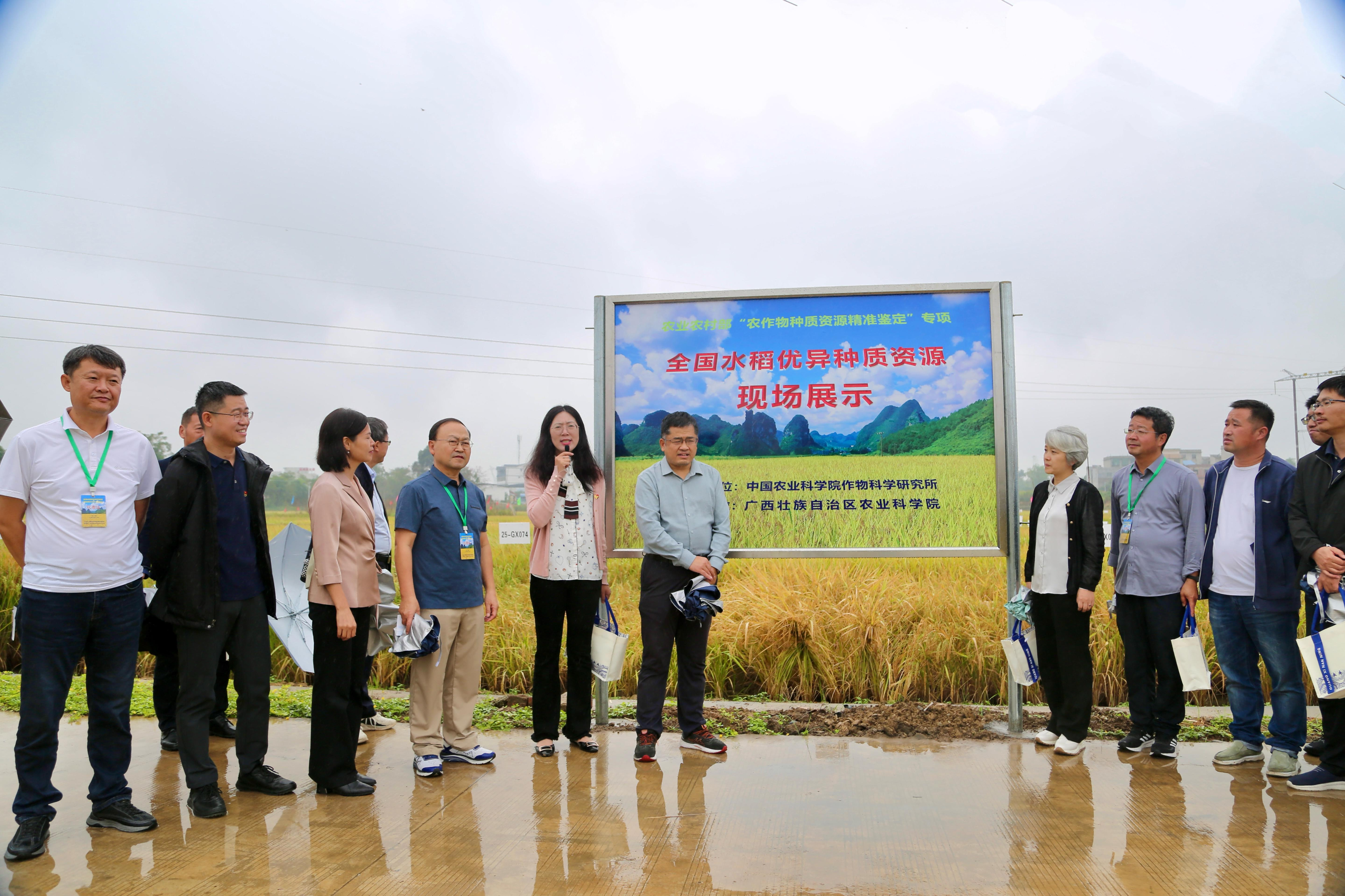 2025年全国水稻优异种质资源现场展示与学术交流会在南宁成功举办