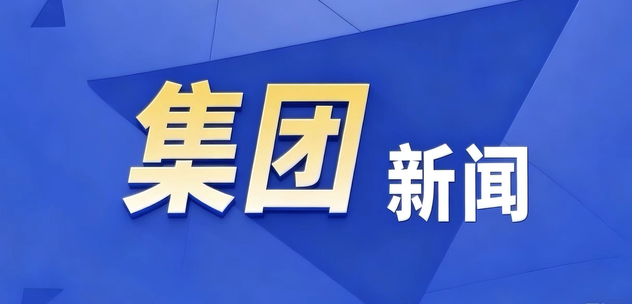 南宁乡村振兴集团与武鸣区委区政府举行工作座谈